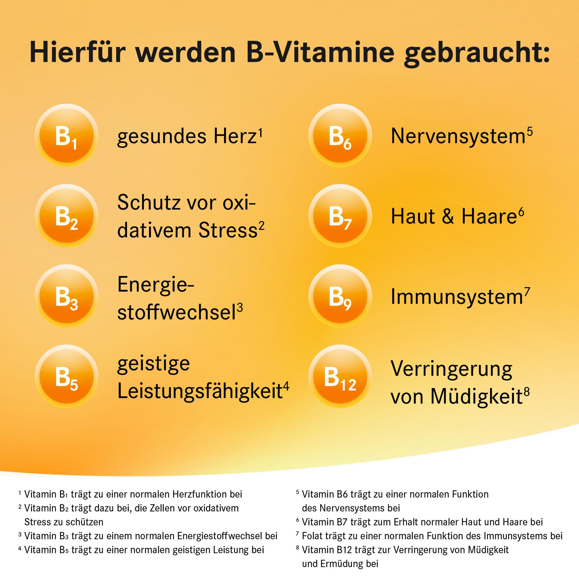 Auflistung aller B-Vitamine und wofür sie gut sind im Körper