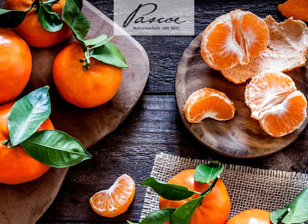 Zitrusfrüchte | Mandarinen | Clementinen